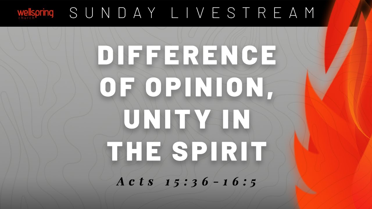 Difference of Opinion, Unity in the Spirit