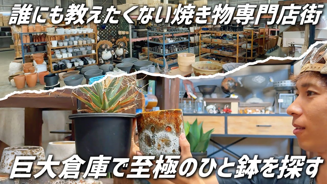 【知る人ぞ知る】格安に大量の植木鉢が揃う焼き物専門店街へ行くDay!!【常滑焼きセラモール】