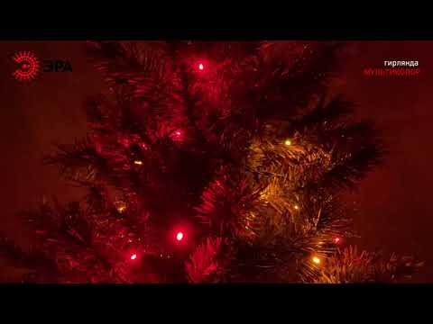 Миниатюра изображения товара Светодиодная гирлянда ЭРА ENIN-5M / Б0041892