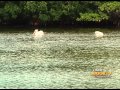 C SPAN Cities Tour Fort Myers The Living Gulf Coast