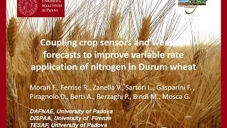 preview picture of video 'Coupling Crop Sensors & Weather Forecasts to Improve Variable Rate Application of N in Durum Wheat'