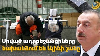 «Ալիևի դստեր շունը մեզնից լավ է ապրում». ադրբեջանցիներից շատերը սովամահ են լինում