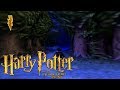 Harry Potter And The Philosopher S Stone PS1 100 Part 17 The Forbidden Forest