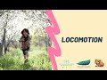 Locomotion - A Kinderkinetics Focus Area