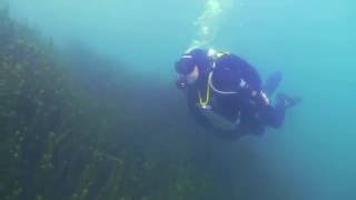 preview picture of video 'Cromwell and Lowburn Bridges Dive Queenstown'