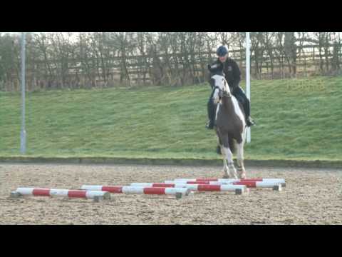 Andrew Hoy Masterclass in Minutes - Trot Poles