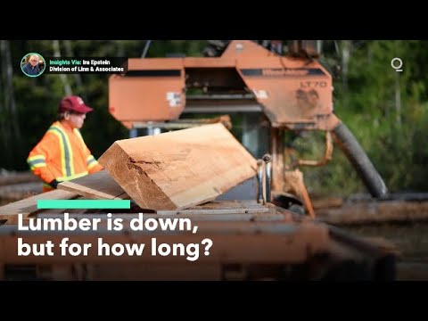 What’s Driving the Fall in Lumber Prices?