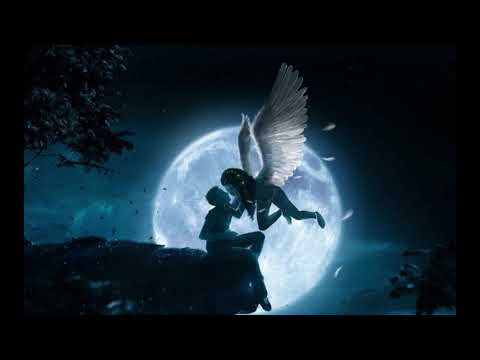 Stevan Faddy - Poslednja Obala