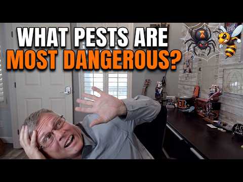 The Most Dangerous Pests in Peoria & Sun City (Factual Realities)