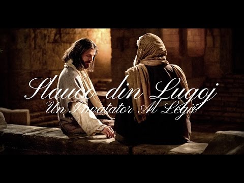 Slauco din Lugoj - Un Invatator Al Legii (Vol. 11) [2017]