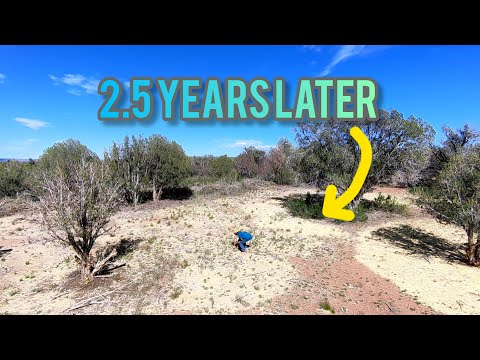 Insights on Rainwater Harvesting in High Desert Permaculture