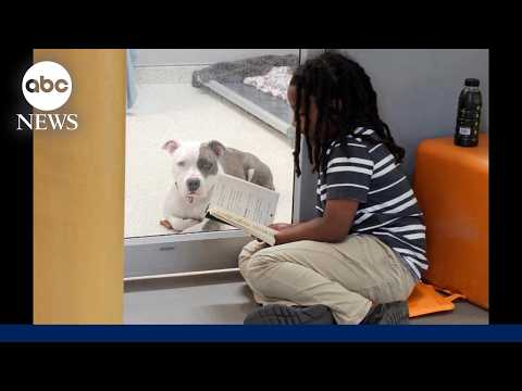 Florida boy reads to shelter dogs waiting for forever home