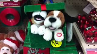 Dogs at Walgreens