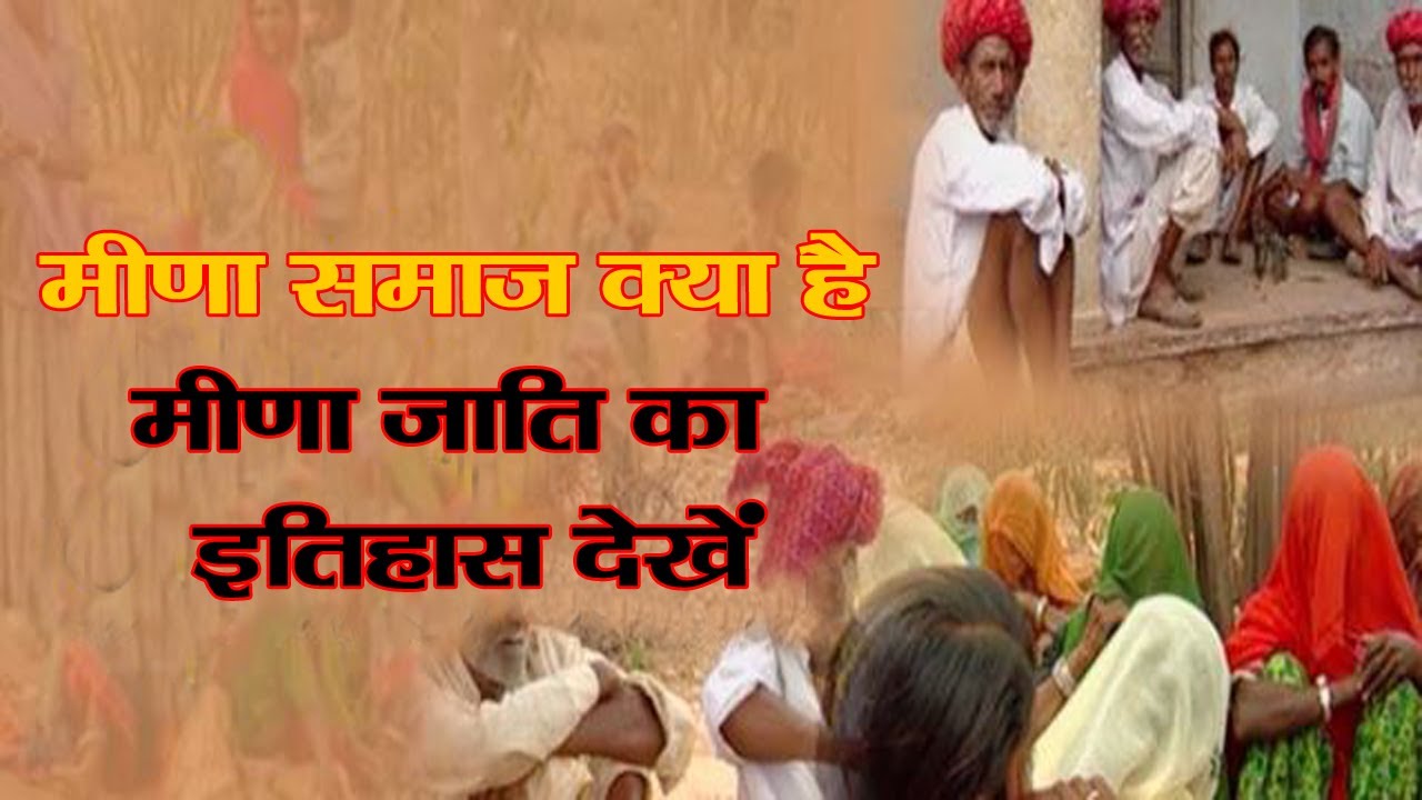 मीणा समाज क्या है ? मीणा जाति का इतिहास देखें