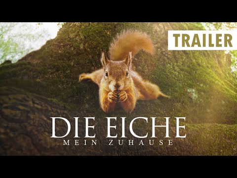 Trailer-Vorschau: Die Eiche - Mein Zuhause