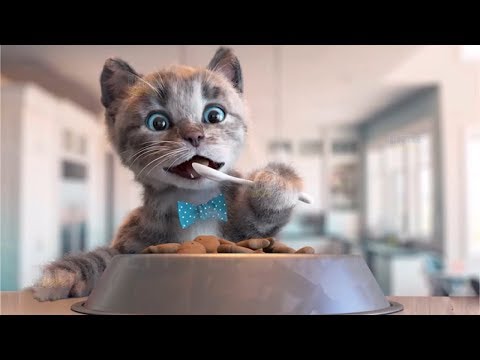 Little Kitten Preschool - Kitten Go To School Adventure - Fun Educational Games For Kids