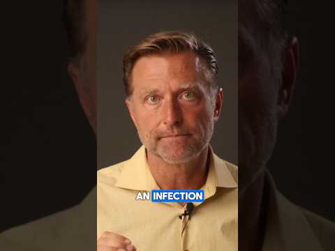 Why Your Immune System Crashes After a Big Holiday Meal?