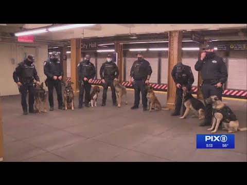 NYPD K-9 units taking on mass transit