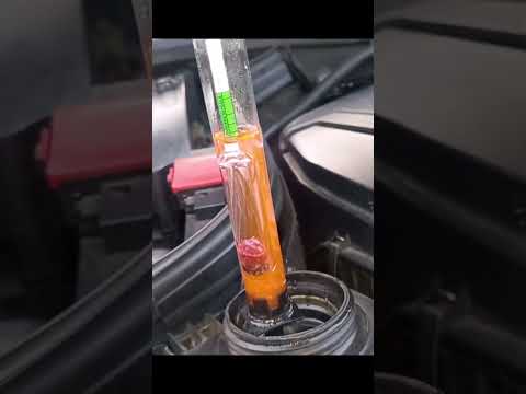 Antifreeze check