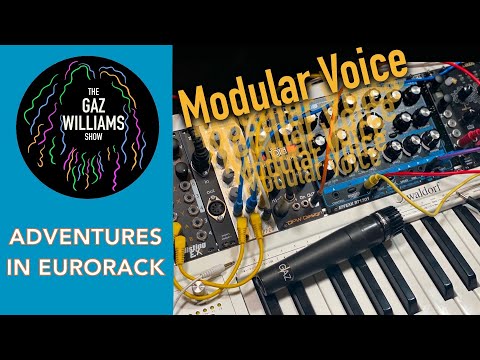 Adventures in Eurorack - modular voice