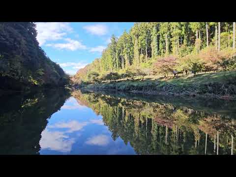 水面に映る嵐山渓谷