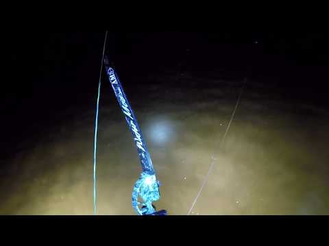 Bowfish’in Stingrays