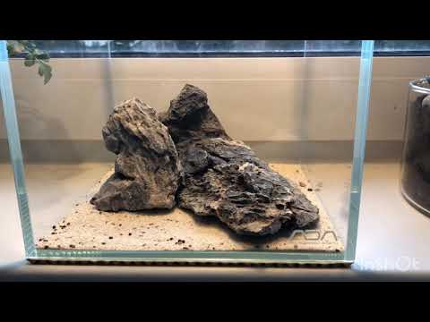 ADA Cube Garden 20C minimal hardscape