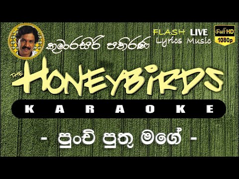 Punchi Puthu mgae Karaoke (Without Voice) පුංචි පුතු මගේ කැරෝකේ