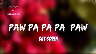 Paw Pa Pa Pa Pow Song (Gyurz)Cat Cover x Instrumen