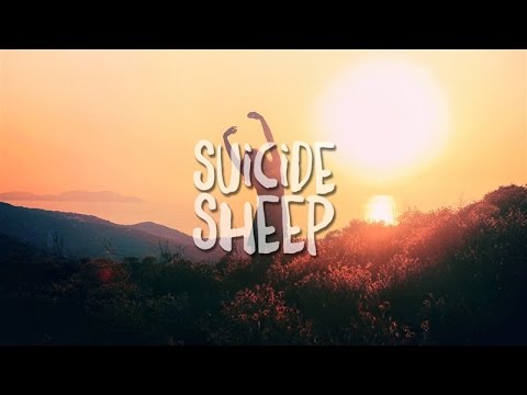 Viceroy - Back At The Start (feat. K Flay)