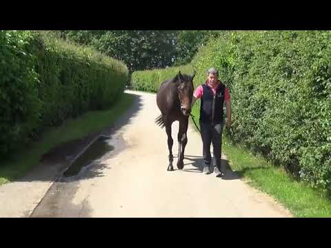 Muhaarar at Highfield 2nd June