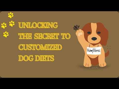 Feed Your Furry Friend Right: Dog Diet Guide