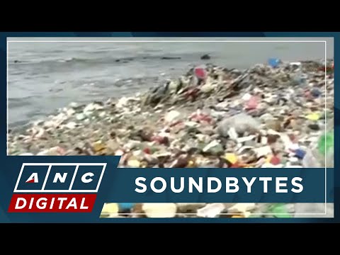 What's in the proposed global plastics treaty? ANC