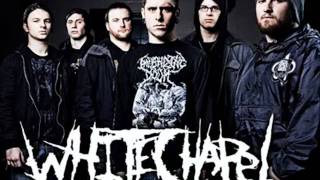 2010 whitechapel-Devolver