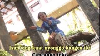 Download lagu NYONGGO KANGEN-MUDAIYAH mp3