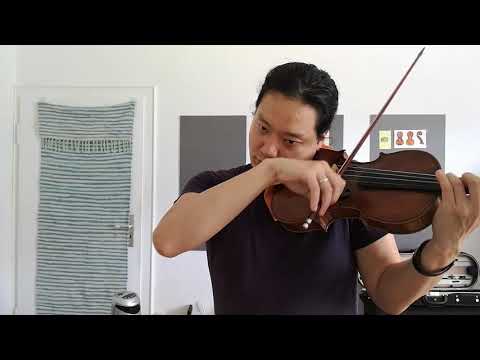[Practice] A Hero´s Life - Ein Heldenleben violin soloㅣ Strauss