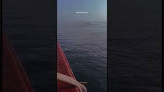 Download lagu STORY WA || MERANTAU DI NEGRI ORANG mp3