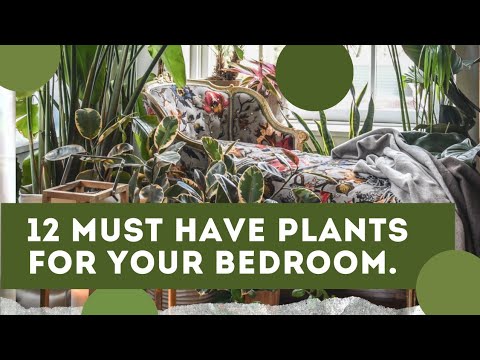 , title : '12 must have plants for your bedroom. Wondering why? Find it out. #gardeningtips #gardeningideas'