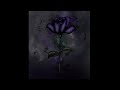 SAINt JHN- Roses (Said The Sky) (Tobee TikTok Guitar Remix) (BEST VERSION)