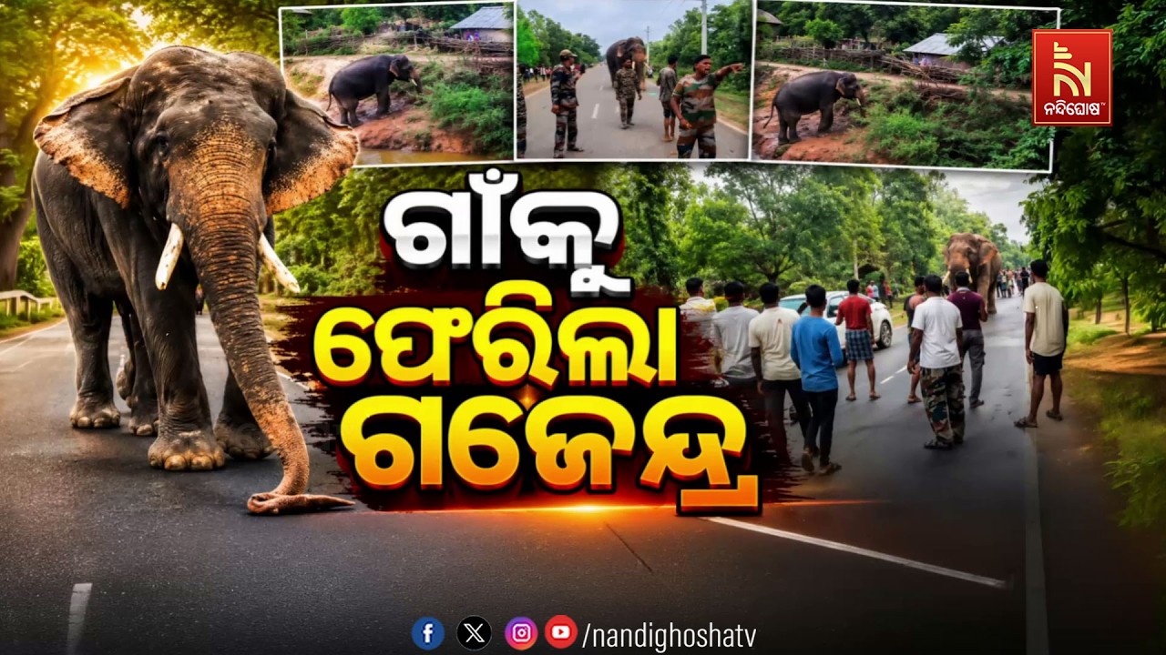 🔴Live | ଗାଁକୁ ଫେରିଲା ଗଜେନ୍ଦ୍ର