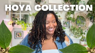 HOYA COLLECTION TOUR | my mini collection