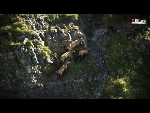 Mignolo Achille VS Girardi Antonio  - 20° Campionato Italiano Città di Arco