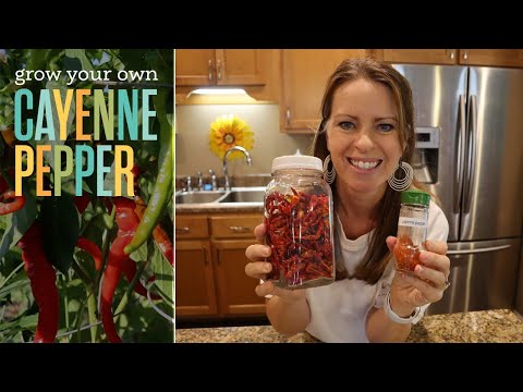 How to Grow Your Own Cayenne Pepper for Your Pantry (Easy Homegrown Spices Series)