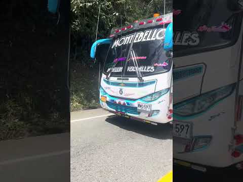 Buses de antioquia montebello #luistruckpr