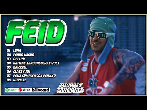 Feid Mix Éxitos 2024 - Lo Más Popular de Feid 2024