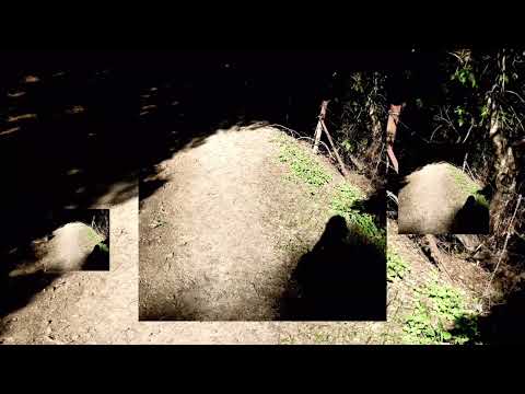 BFB Season Coming to an End but it’s Reversed @BFDI