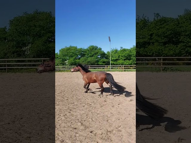 Recherche demi pension 