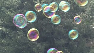 ASMR Blowing Bubbles (ASMR Tingle Triggers, Youtube video, Blowing, Bubbles)