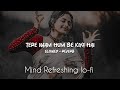 Tere Naam Humne Kiya Hai Slowed Reverb Tere Naam Udit Narayan Alka Yagnik Salman Khan