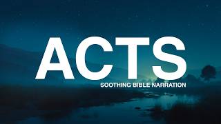 Acts: Peaceful Bible Reading for Sleep & Meditation (NIV)